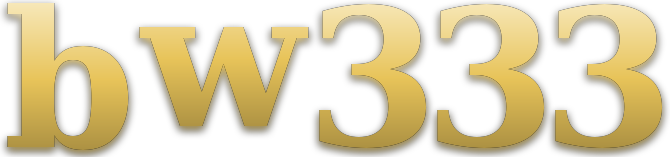 bw333 logo